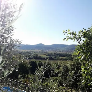 Le Rocher Des Cigales Vogue